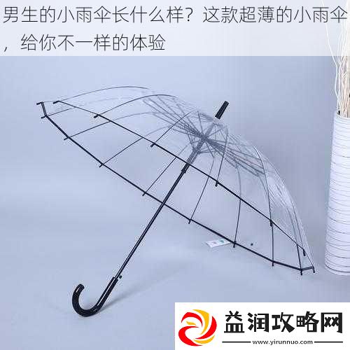男生的小雨伞长什么样
