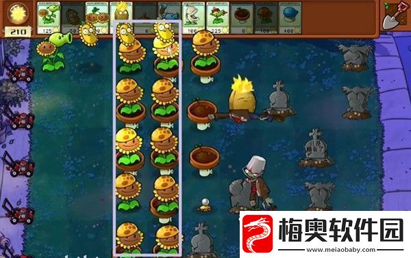 植物大战僵尸杂交版冒险6关怎么过