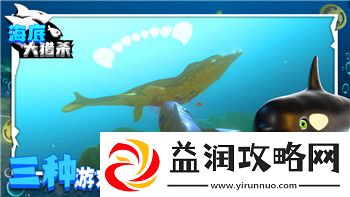 帕斯卡契约阿达米亚的全新篇章：探索游戏中的故事背景与角色发展