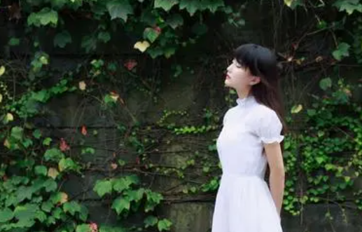 蜜桃秘 **一区二区三区：数字时代的娱乐变革