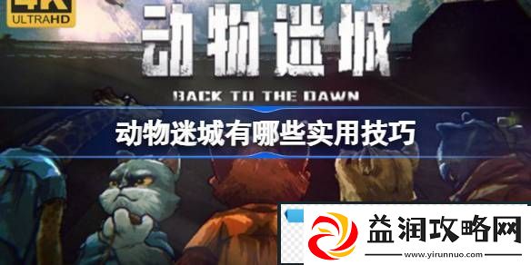 动物迷城有哪些实用技巧