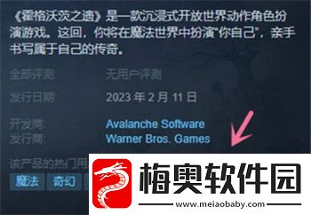霍格沃茨之遗可以联机吗