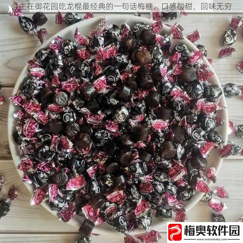 公主在御花园吃龙棍最经典的一句话梅糖口感酸甜回味无穷