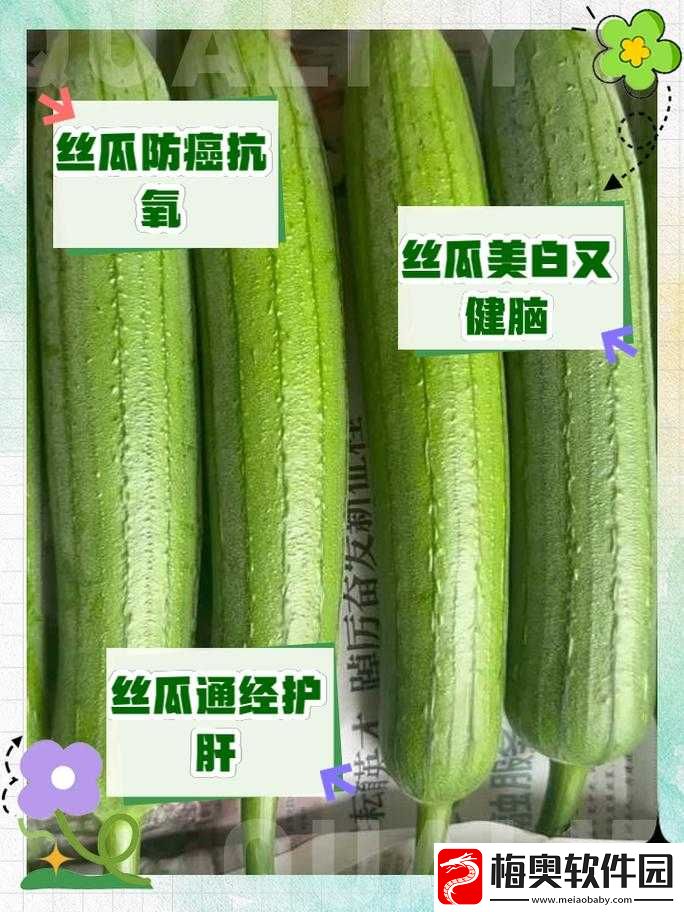 国产丝瓜不卡