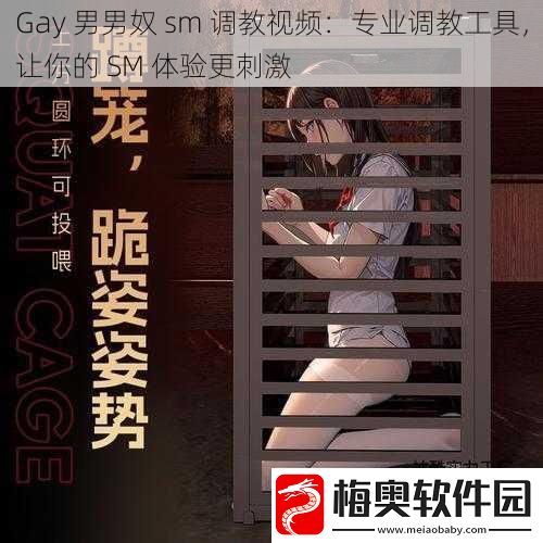 Gay男男奴sm**视频