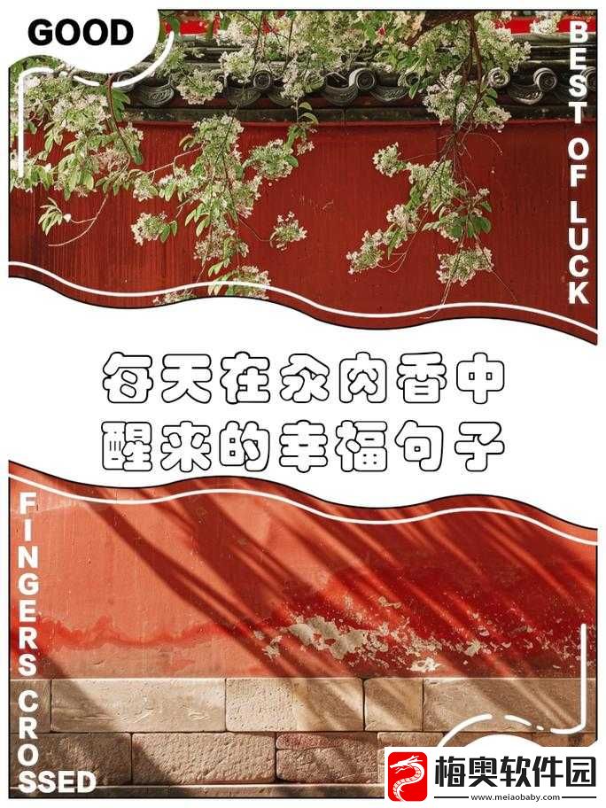 每天早上都在汆肉中度过