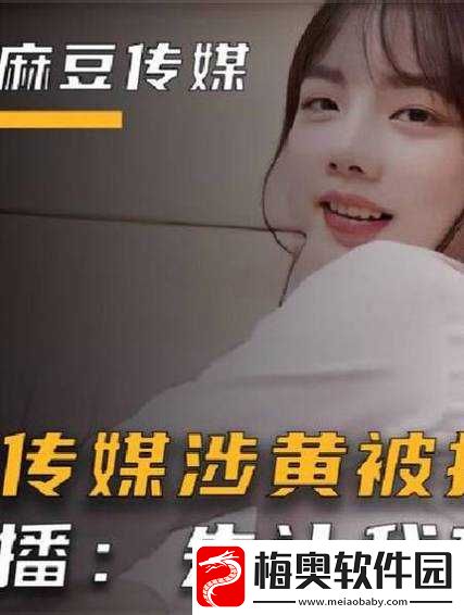 国产麻豆剧传媒