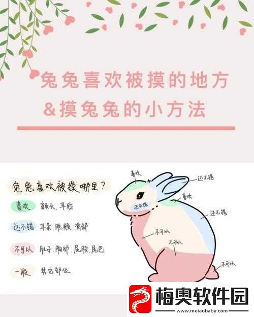 为什么男生喜欢摸和咬小兔兔