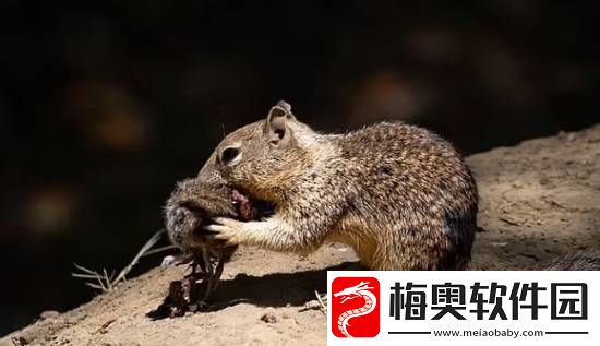 你敢信吗