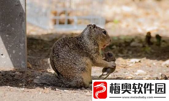 你敢信吗