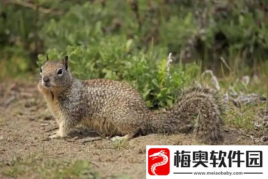 你敢信吗