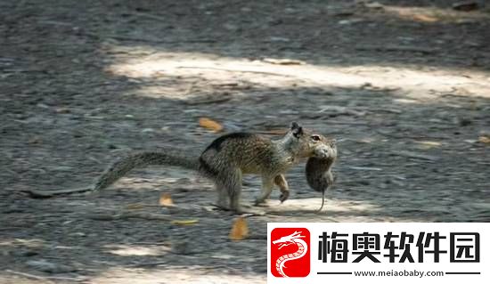 你敢信吗