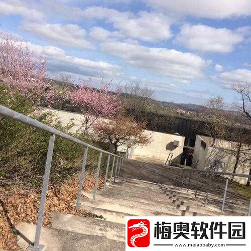 怪咖社区