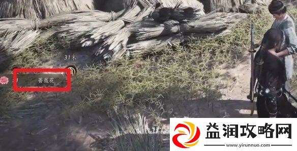 燕云十六声蔷薇风信任务怎么过