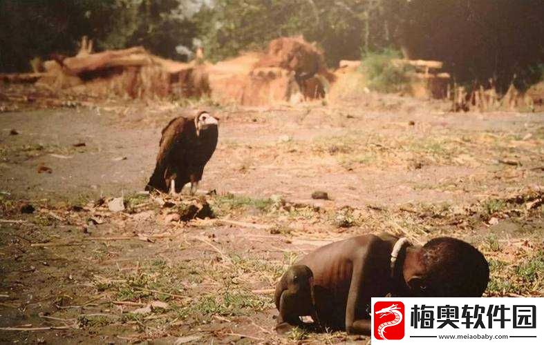 非洲女人与禽