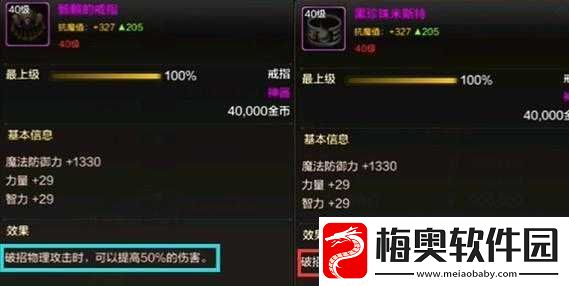 黑珍珠米斯特的奇妙冒险