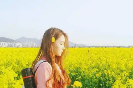 少女视频哔哩哔哩免费：在社交媒体上，理性讨论的重要性