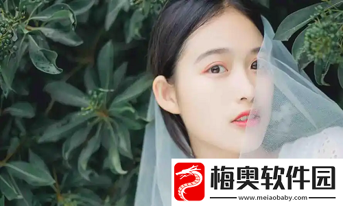 上流社会观看完整版成为焦点