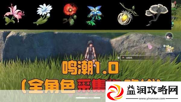 鸣潮珍珠草采集全攻略