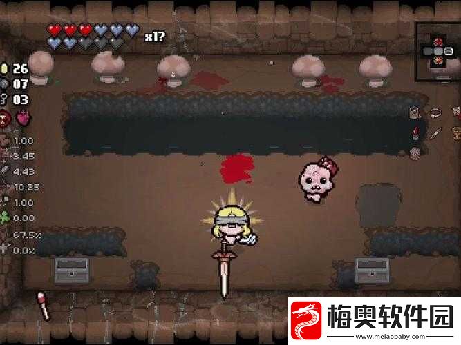 以撒的结合胎衣第