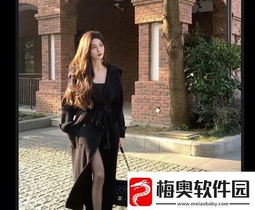 如何靠苏软软汆肉的日常系统高效搞定工作和生活