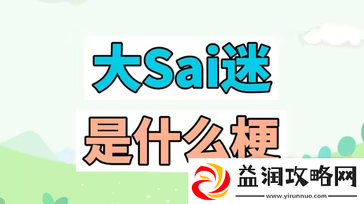 大SAI迷梗是什么意思