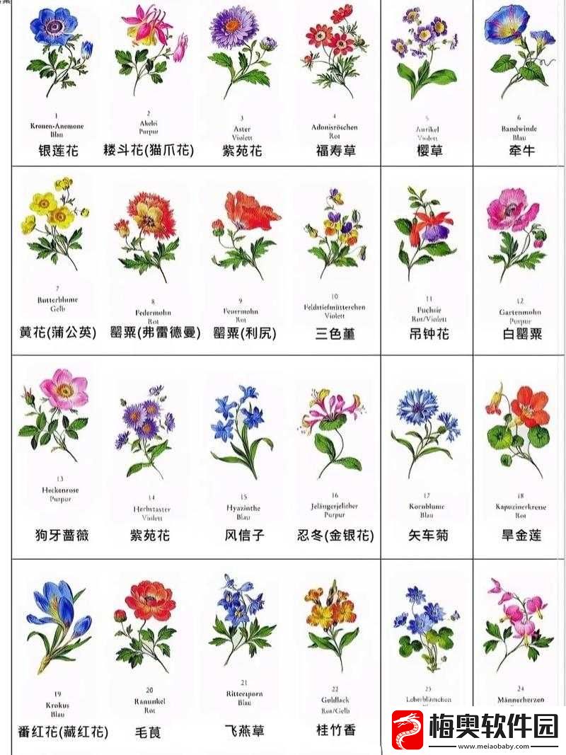 崩坏