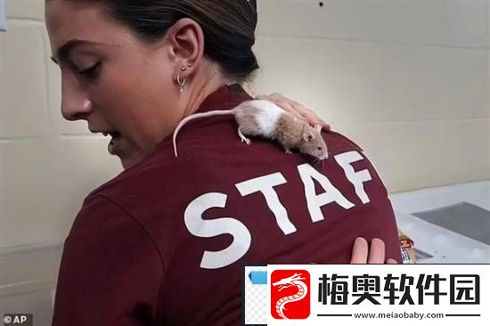 游你扯淡
