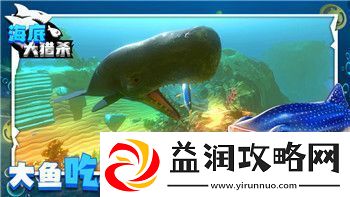 薄暮传说武技sp的技巧解析与优化建议