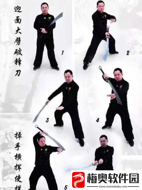 甲级武功天山剑法图谱秘鉴