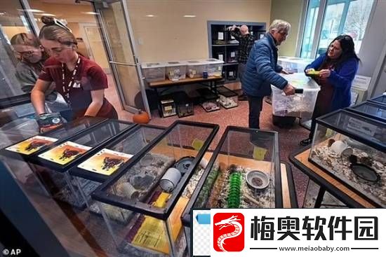 游你扯淡