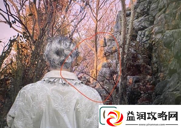 生化危机4重制版村长家防止刷狗攻略
