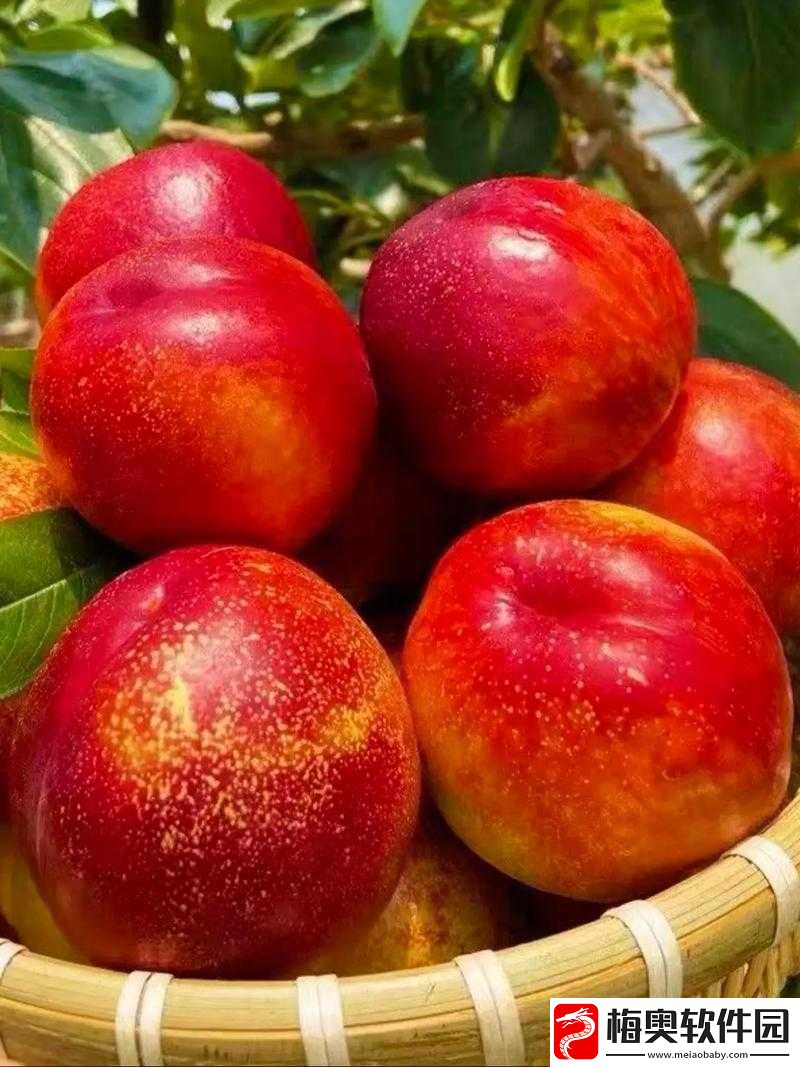 蒙阴蜜桃：甜蜜多汁的优质果品