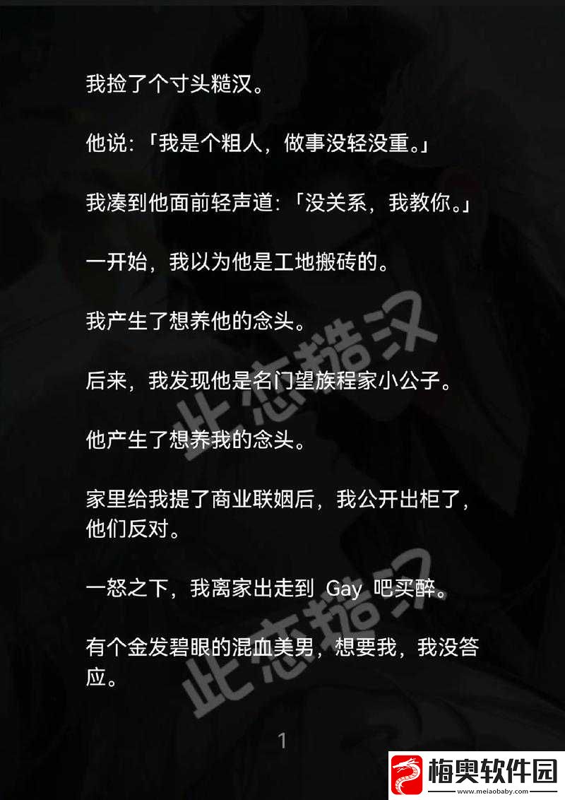 三个糙汉一个软妹组具体所指