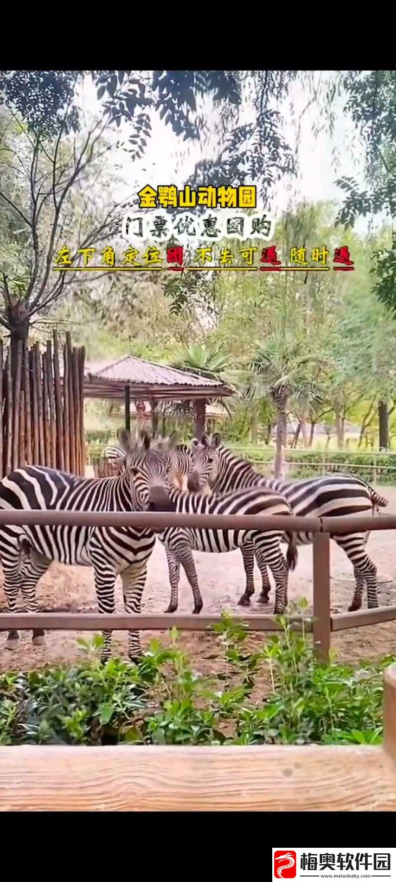 探索龙之崛起：皇冠动物园的神秘动物世界