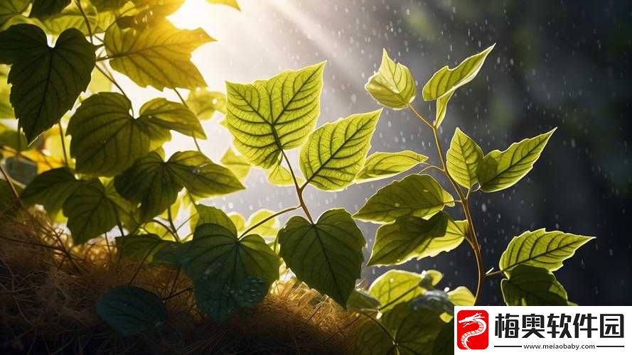 五芒星战记之碧海之泪