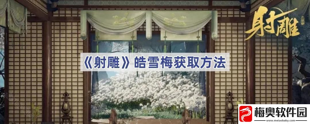 皓雪梅获取方法