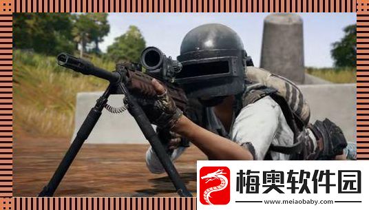 百“姿”千态“鸡”动时代