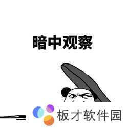 私生饭是什么意思