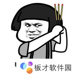 私生饭是什么意思