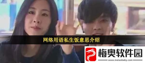 私生饭是什么意思