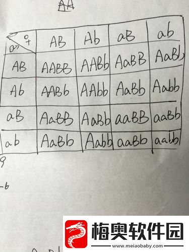 AABB与AAAA的差异