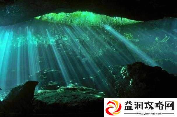 www.8x8伊甸园：探索独特的神秘世界
