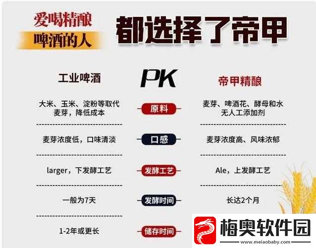 探索精二和精三的区别：深度解析与对比