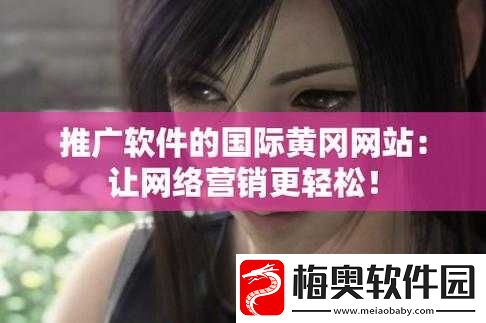 国外黄冈网站推广软件