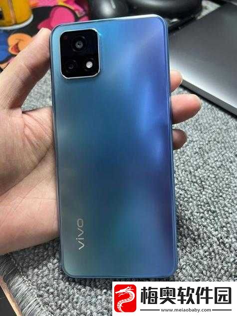 一级成色好的-Y31S-标准版评测：最近超火爆的详细解读