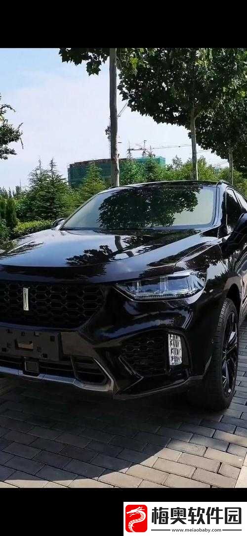 weyvv5-国产的-SUV-视频：震撼呈现魅力座驾