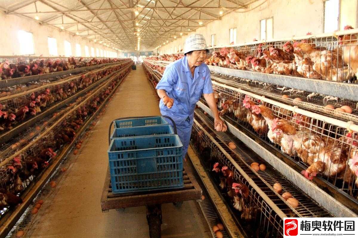 畜牧业：养殖、繁育、加工与销售
