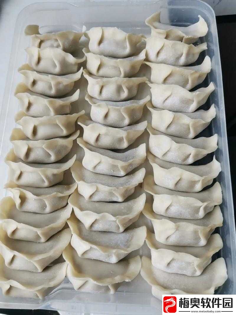 课后辅导：肉馅小水饺的奇妙之旅