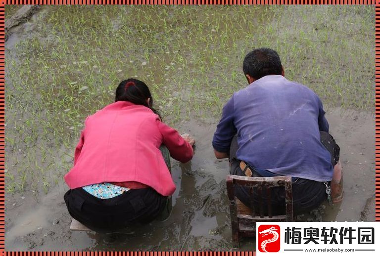 插秧情侣